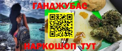 гашик Будённовск
