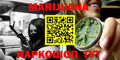 гашик Будённовск