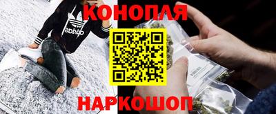 гашик Будённовск