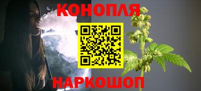 гашик Будённовск
