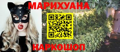 гашик Будённовск