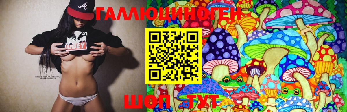 Галлюциногенные грибы MAGIC MUSHROOMS Красный Сулин