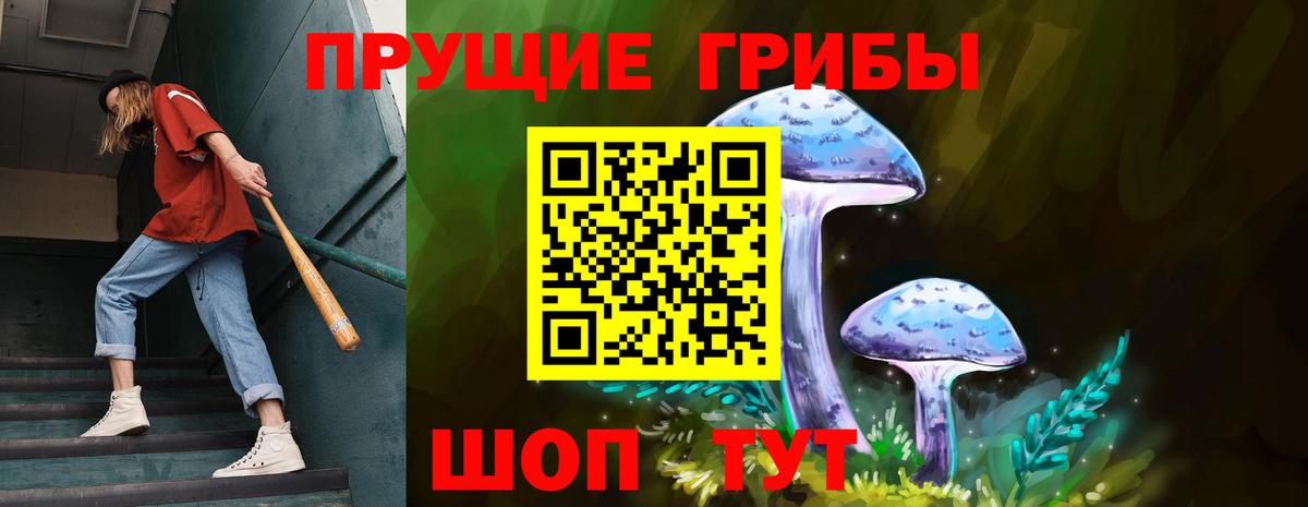 Галлюциногенные грибы GOLDEN TEACHER  Вход с VPN  где купить наркоту  Красный Сулин 